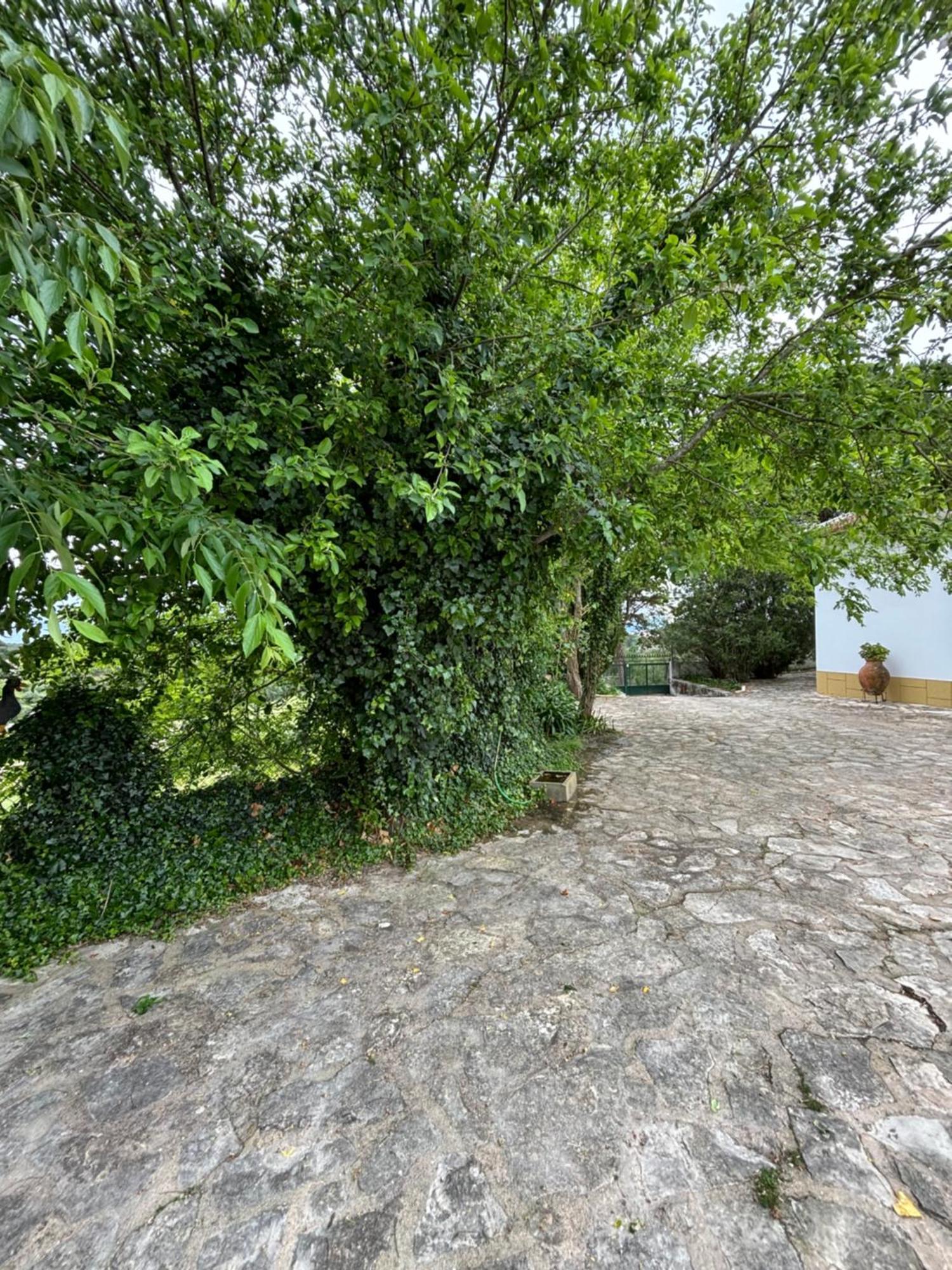 Casa Da Nogueira Βίλα Tomar Εξωτερικό φωτογραφία