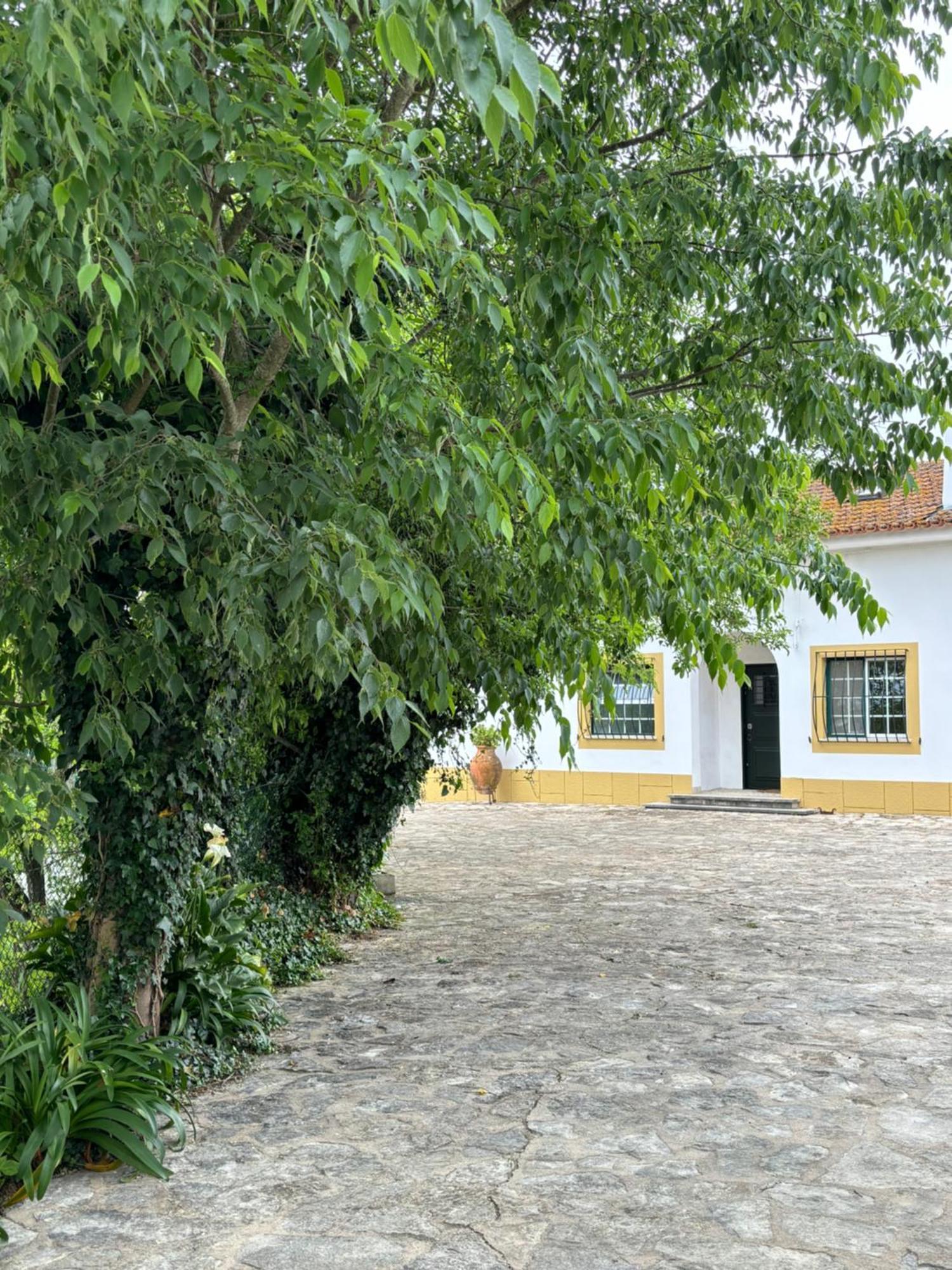 Casa Da Nogueira Βίλα Tomar Εξωτερικό φωτογραφία